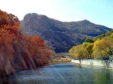 管家婆免费正版资起大全，生铁屑压块机